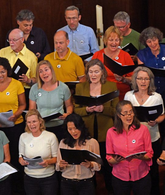 Repetitie Zwaluwen Amsterdam